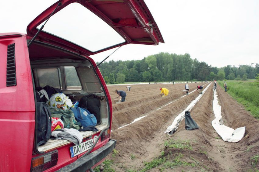 alex fischer, fotograf, darmstadt, 2010, darmstadt dieburg, spargel, ernte, ernten, spargelstecher, rumnien, serbien, kroatien, arbeitsmigration, massenunterkunft, bauernhof