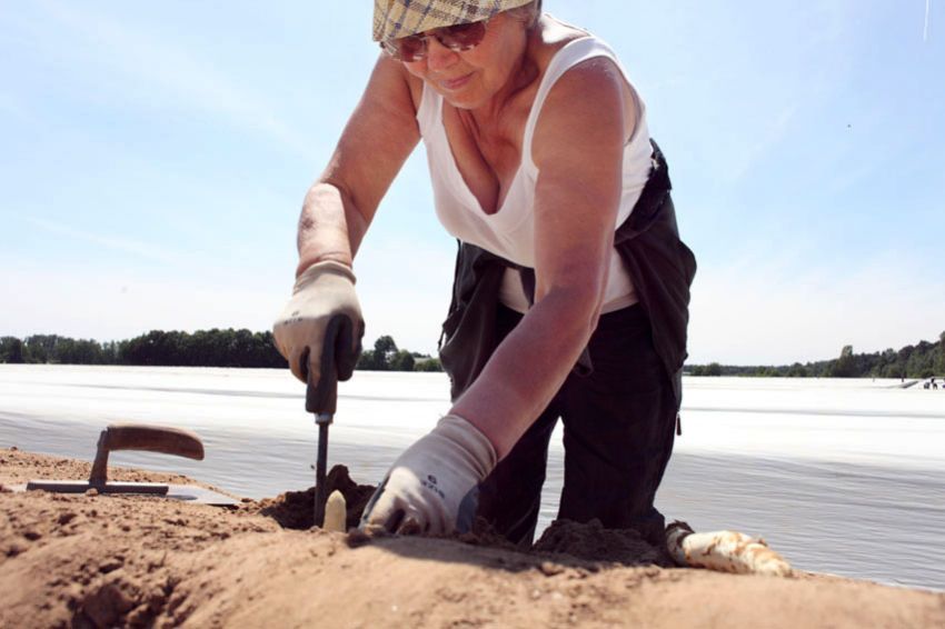 alex fischer, fotograf, darmstadt, 2010, darmstadt dieburg, spargel, ernte, ernten, spargelstecher, rumnien, serbien, kroatien, arbeitsmigration, massenunterkunft, bauernhof