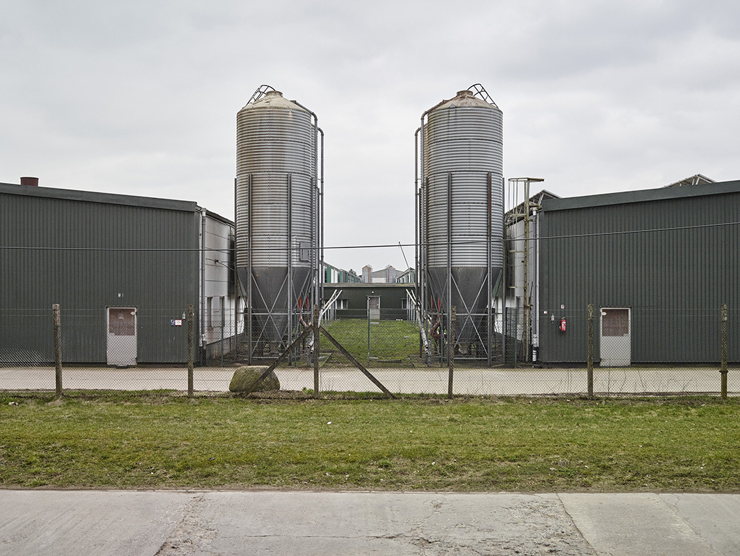 alex fischer, fotograf, darmstadt, ostsee, menschen, tiere, tote zone, glle, industrielle landwirtschaft