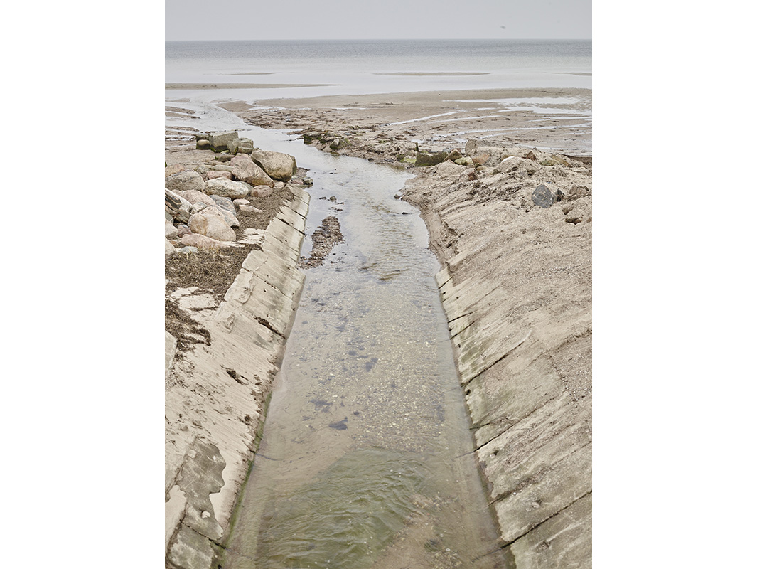 alex fischer, fotograf, darmstadt, ostsee, menschen, tiere, tote zone, glle, industrielle landwirtschaft